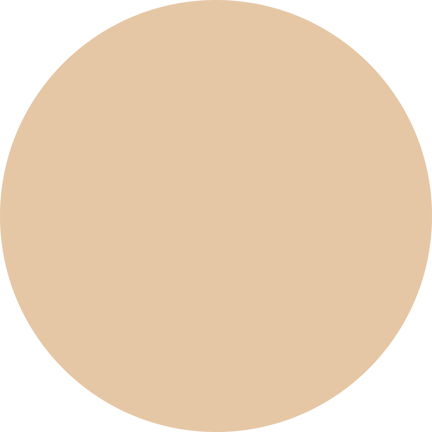 Aronza - Foundation Stick