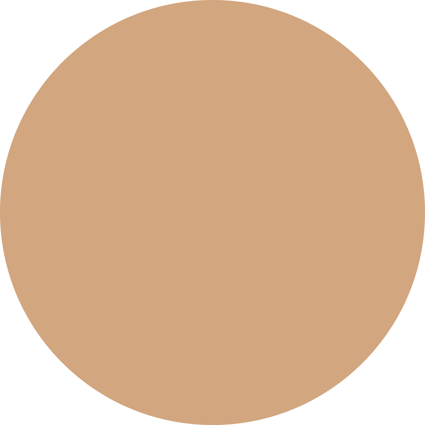 Aronza - Foundation Stick