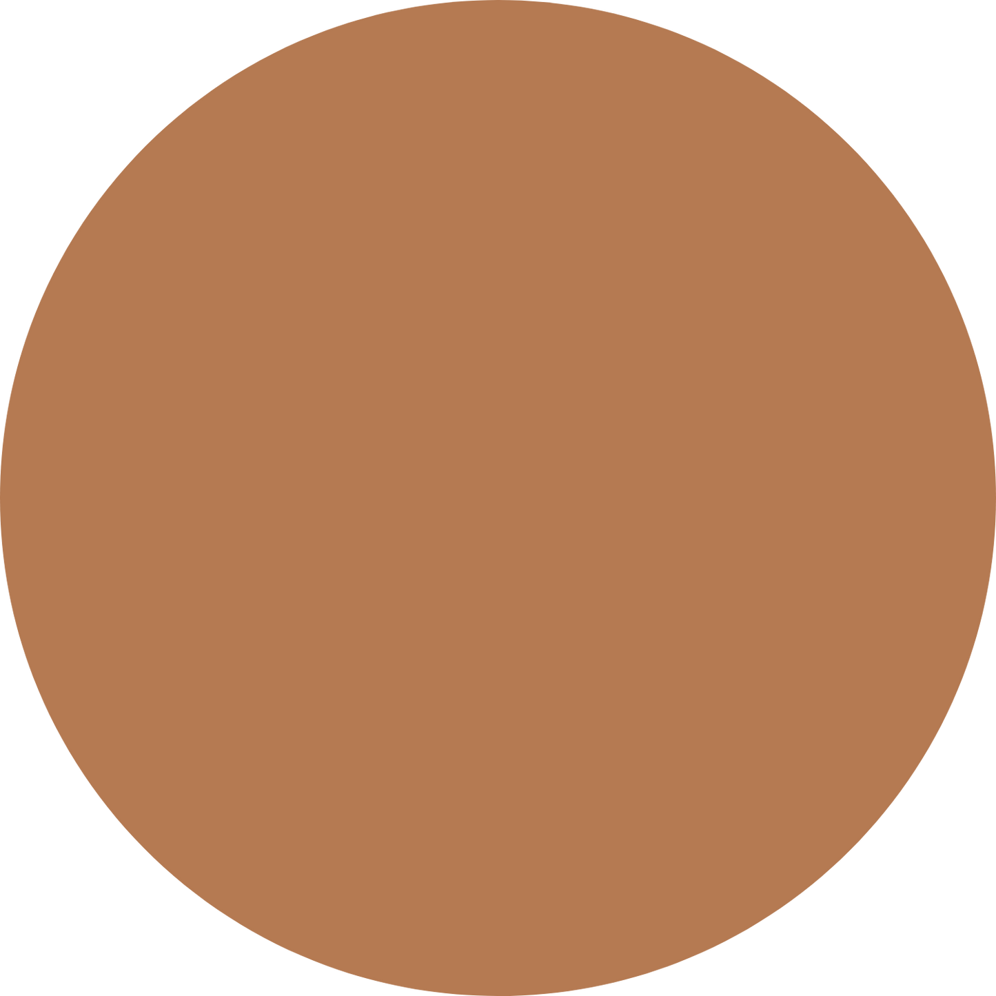 Aronza - Foundation Stick